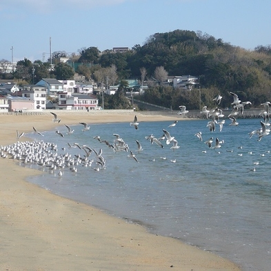 リーズナブルに素泊まりプラン 【名鉄海上観光船割引】